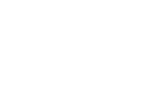 Camp Nyroca