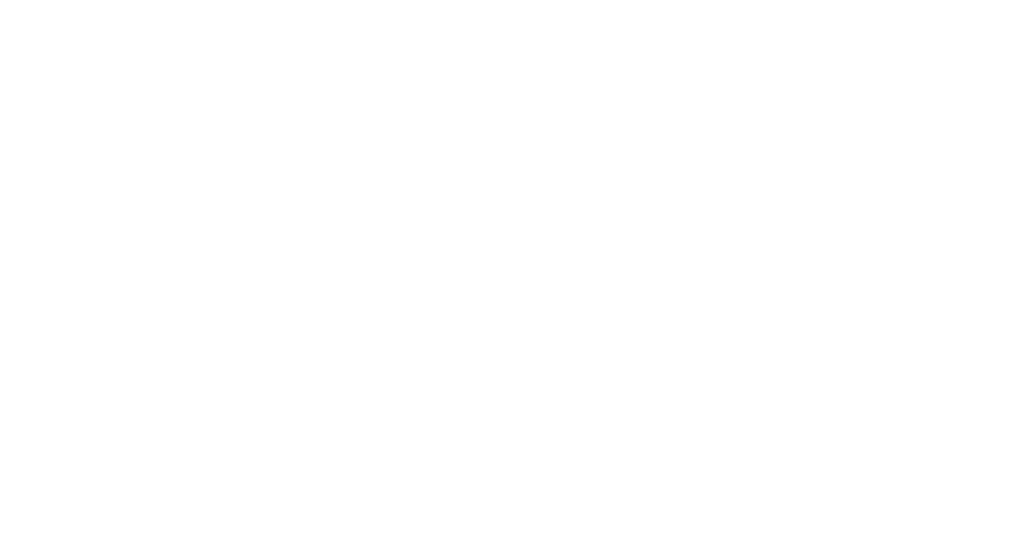 Camp Nyroca